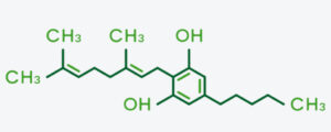 CBG molecular structure